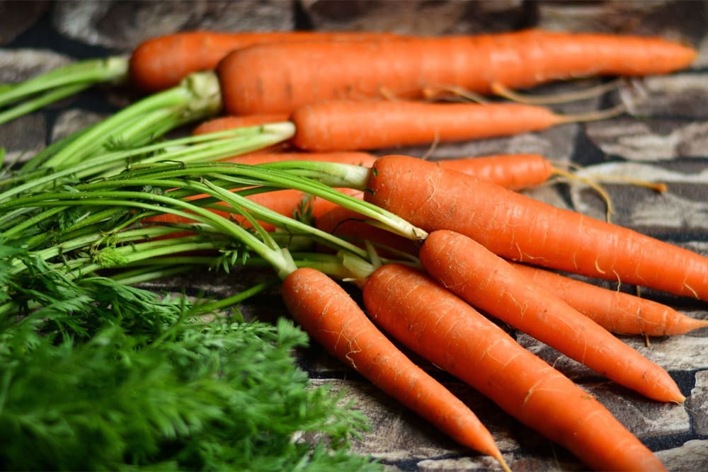 Sayur Wortel : Manfaat Untuk Kesehatan Tubuh